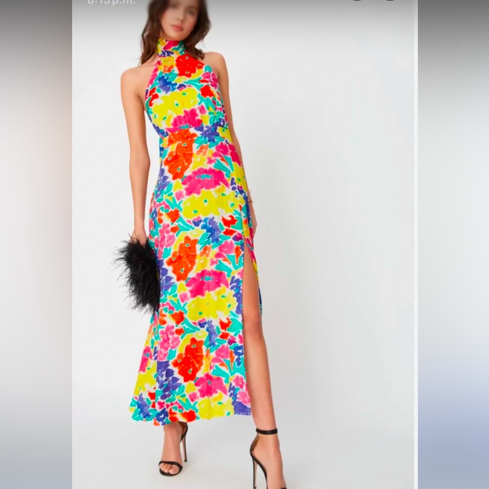NWT Kitri Vera Floral Maxi Skirt